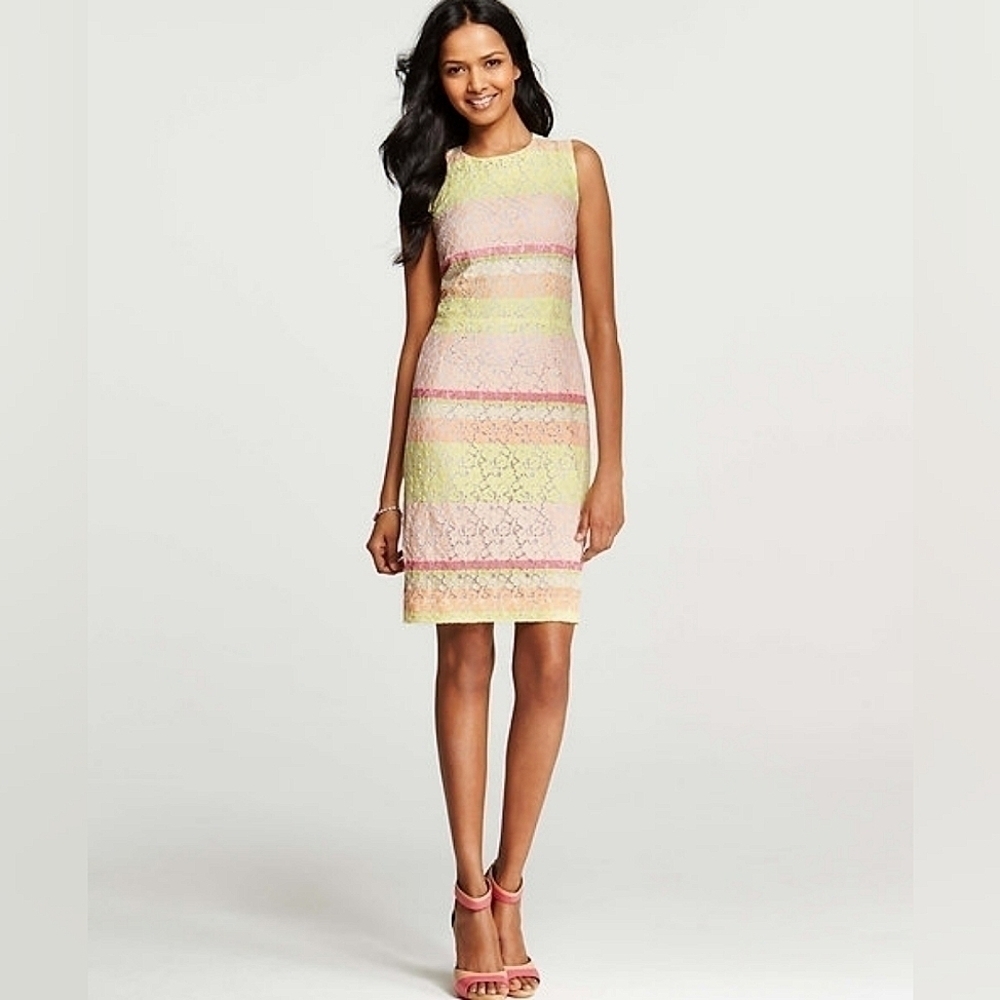 Ann Taylor Neon and Pastel  Lace Sheath Dress | Size 2P
